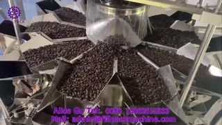2275 J69 Roterende zaktoevoer-vul- en sluitmachine voor koffiebonen