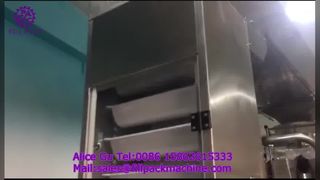 2284 J122 Verticale foliewikkelzak-makende terugverzegelende bevroren knoedelverpakkingsmachine