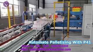 2299 P41 Portaalpalletiseermachine
