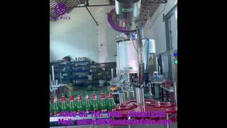 2220 J118 Kroonkurk Automatische 6-koppige sluitmachine