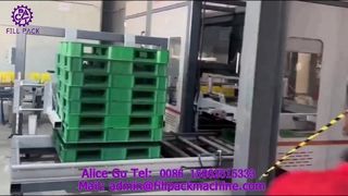 2307 P42 Kartonverpakkingsportaal Palletiseerproductielijn