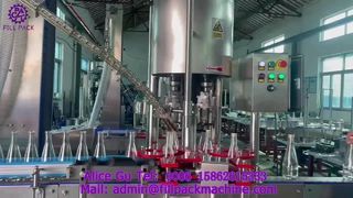 2217 J118 Automatische 4-koppige sluitmachine voor aluminium doppen
