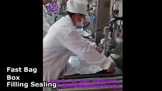 2108 L14 Semi-automatische Bag-in-Box vul- en sluitmachine met één kop