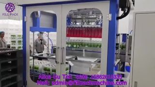 2235 P15 Automatische grijper met dubbele kop voor het verpakken van dozen