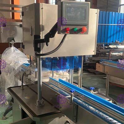 De enige Hoofd Servomotor Automatische Soda kan Verzegelaar machinaal bewerken