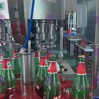 Volledig Automatische Roterende het GlasFlessenspoeler van 2000BPH voor bier het vullen machine