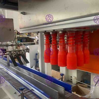 Elektrische 1Phase van de Flessenvullenmachine Met geringe geluidssterkte voor Kartondoos het verzegelen