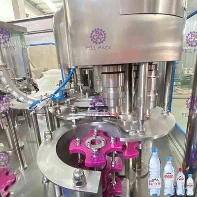 De kleinschalige Automatische het Drinken Zuivere Water het Vullen Installatie van de Machinelijn voor HUISDIEREN plastic Flessen
