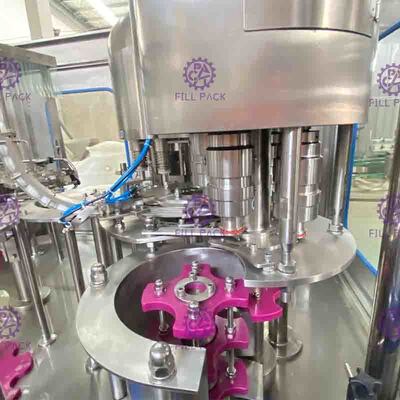 Automatische 3 in 1 Gebotteld Water het Vullen Machineplc Touch screen 12 Hoofden