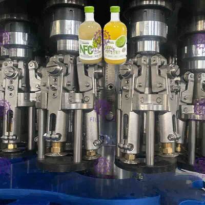 0.3L hoog Viscositeit Geconcentreerd Juice Filling Machine, Automatische het Afdekken Machine