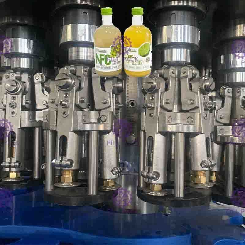 0.3L hoog Viscositeit Geconcentreerd Juice Filling Machine, Automatische het Afdekken Machine